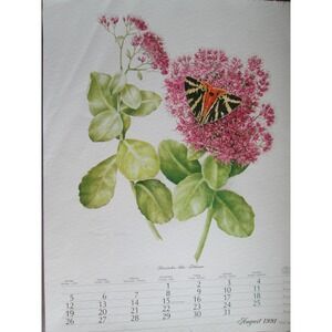 VTG Botanical Book Plate 1991 AUGUST Calendar Floral Moth Butterfly Cottage Chic